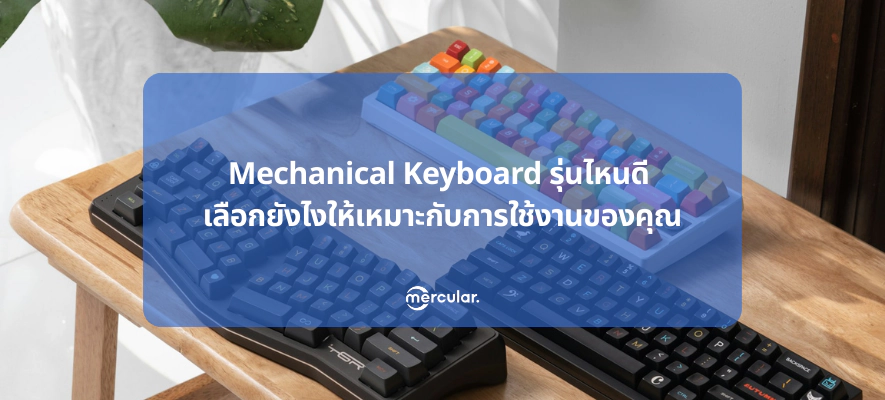 Mechanical Keyboard รุ่นไหนดี เลือกยังไงให้เหมาะกับการใช้งานของคุณ