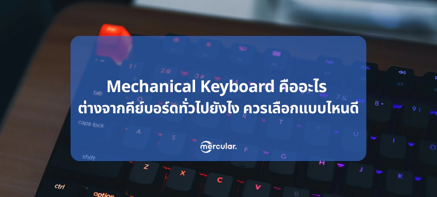 Mechanical Keyboard คืออะไร ต่างจากคีย์บอร์ดทั่วไปยังไง ควรเลือกแบบไหนดี