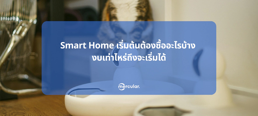 Smart Home เริ่มต้นต้องซื้ออะไรบ้าง งบเท่าไหร่ถึงจะเริ่มได้