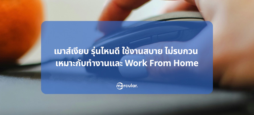 เมาส์เงียบ รุ่นไหนดี ใช้งานสบาย ไม่รบกวน เหมาะกับทำงานและ Work From Home