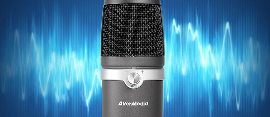 ไมโครโฟน AVerMedia AM310 USB Condenser ราคา