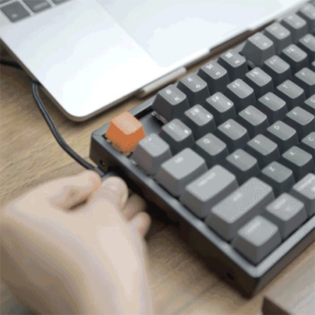 คีย์บอร์ด Keychron K8 Hot-swappable Wireless Mechanical Keyboard