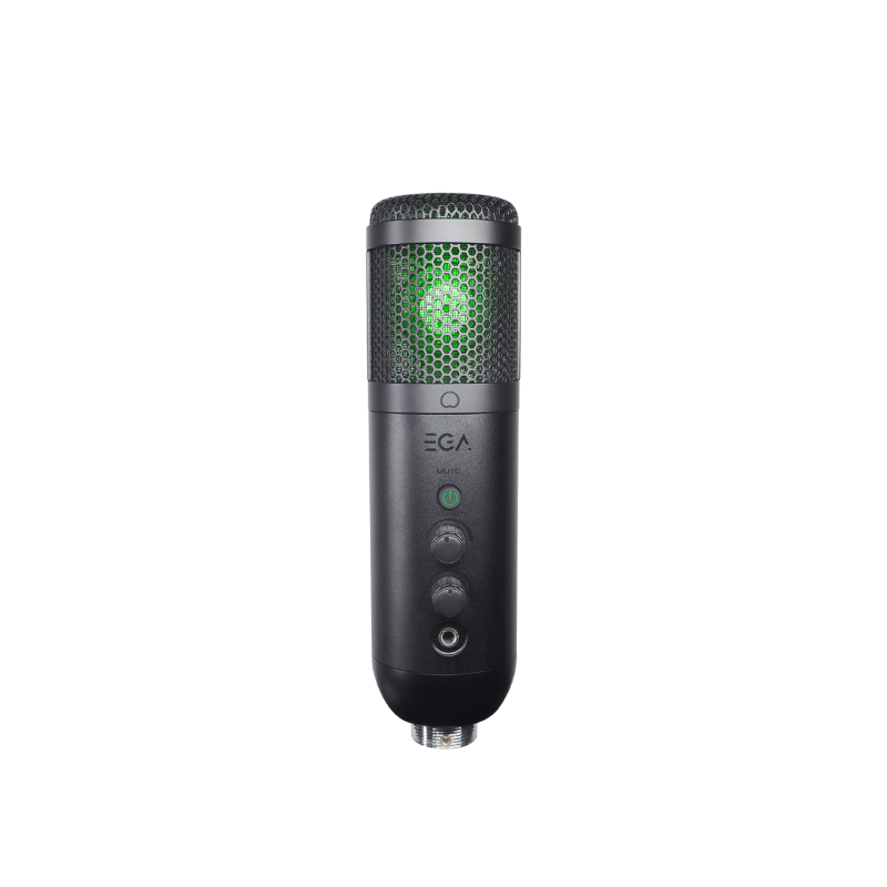 ไมโครโฟน EGA TYPE-MC4 Microphone ไมโครโฟน EGA TYPE-MC4 Microphone