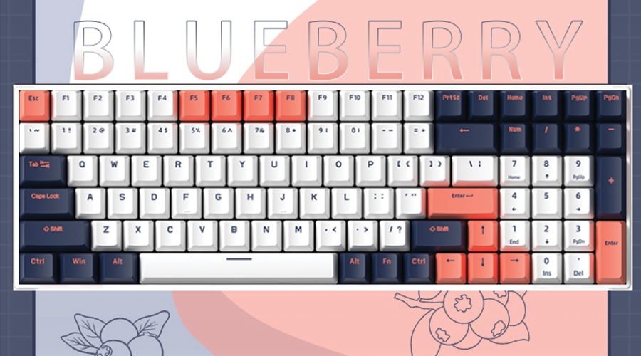 Royal Kludge RK100 Blueberry Wireless Mechanical Keyboard ซื้อ