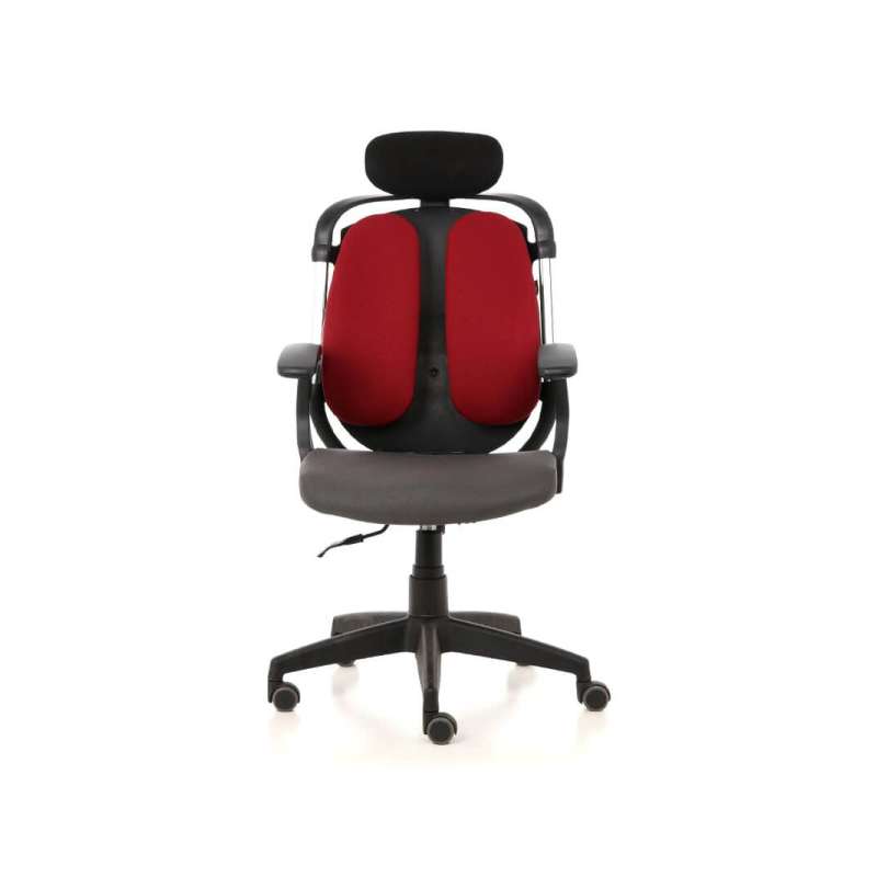 เก้าอี้เพื่อสุขภาพ Ergotrend Dual-03 Ergonomic Chair เก้าอี้เพื่อสุขภาพ Ergotrend Dual-03 Ergonomic Chair