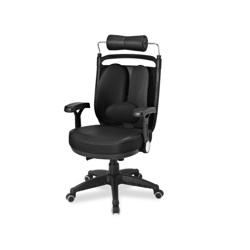 เก้าอี้เพื่อสุขภาพ Ergotrend Dual-08 Ergonomic Chair เก้าอี้เพื่อสุขภาพ Ergotrend Dual-08 Ergonomic Chair