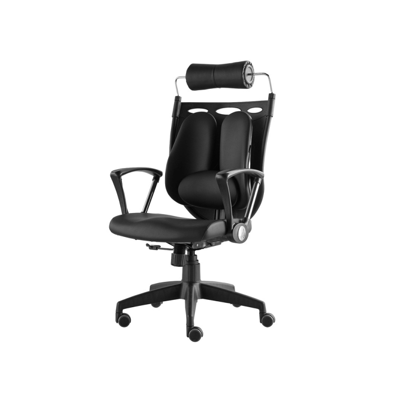 เก้าอี้เพื่อสุขภาพ Ergotrend Dual NL-05BPP Ergonomic Chair เก้าอี้เพื่อสุขภาพ Ergotrend Dual NL-05BPP Ergonomic Chair