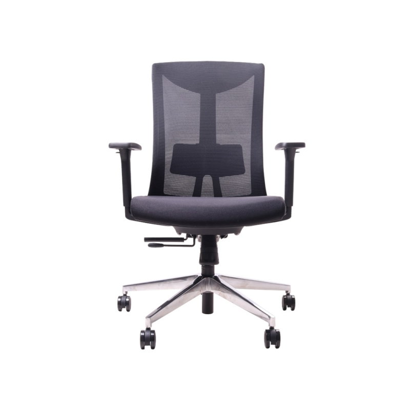 เก้าอี้เพื่อสุขภาพ Ergotrend Dual-X1 Ergonomic Chair เก้าอี้เพื่อสุขภาพ Ergotrend Dual-X1 Ergonomic Chair