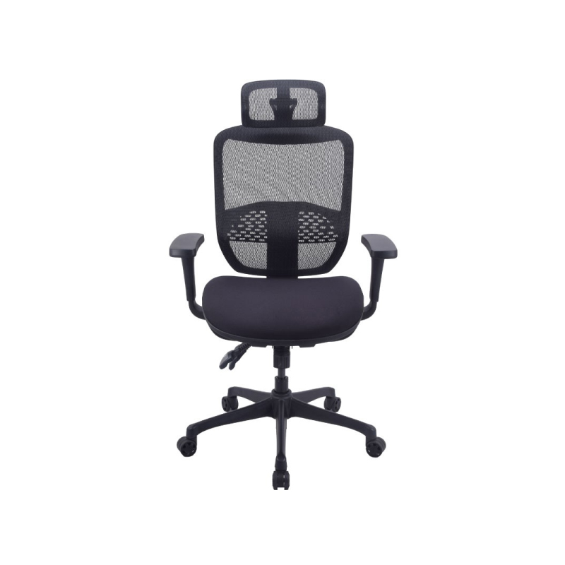 เก้าอี้เพื่อสุขภาพ Ergotrend Ergo Joy Plus Ergonomic Chair เก้าอี้เพื่อสุขภาพ Ergotrend Ergo Joy Plus Ergonomic Chair