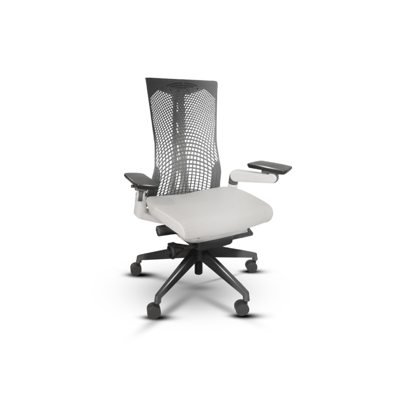 เก้าอี้เพื่อสุขภาพ Bewell Cuddle Ergonomic Chair เก้าอี้เพื่อสุขภาพ Bewell Cuddle Ergonomic Chair