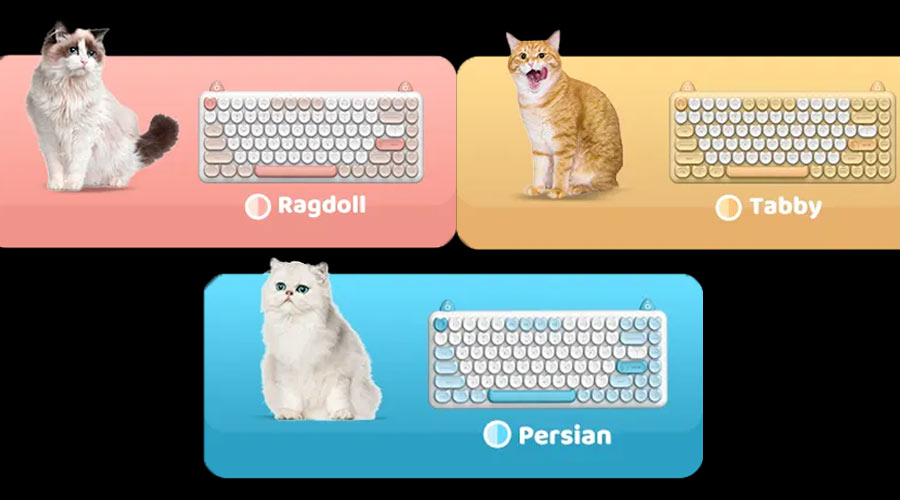 คีย์บอร์ด IQUNIX M80 Purry Cat Wireless Mechanical Keyboard (EN)
