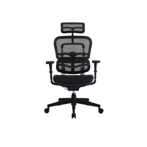 เก้าอี้สุขภาพ DF Prochair Ergo Ergonomic Chair