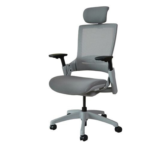 เก้าอี้เพื่อสุขภาพ DreamDesk ErgChair - Sync Ergonomic Chair