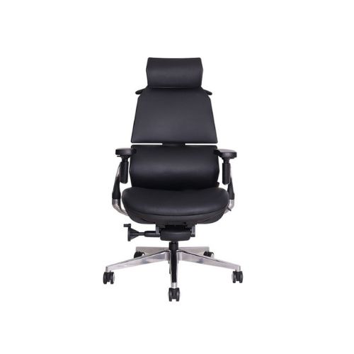 เก้าอี้เพื่อสุขภาพ Ergotrend Ultimate Malmo Ergonomic Chair