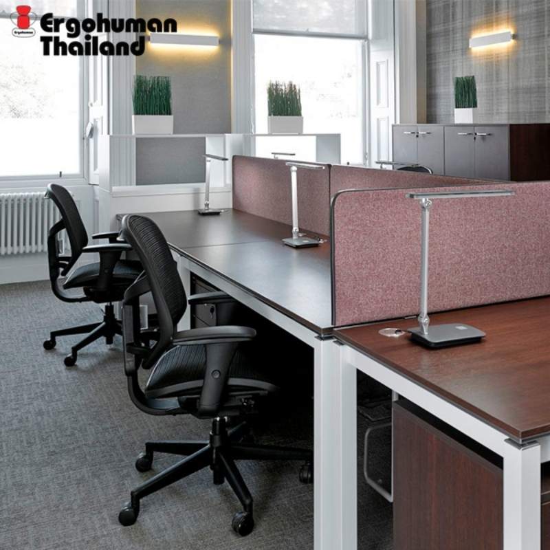 เก้าอี้สุขภาพ Ergohuman Thailand ENJOY Ergonomic Chair Black