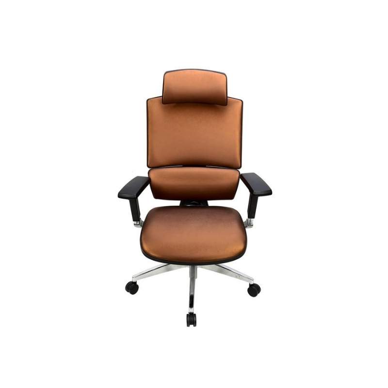 เก้าอี้สุขภาพ Ergotrend MBergen Ergonomic Chair