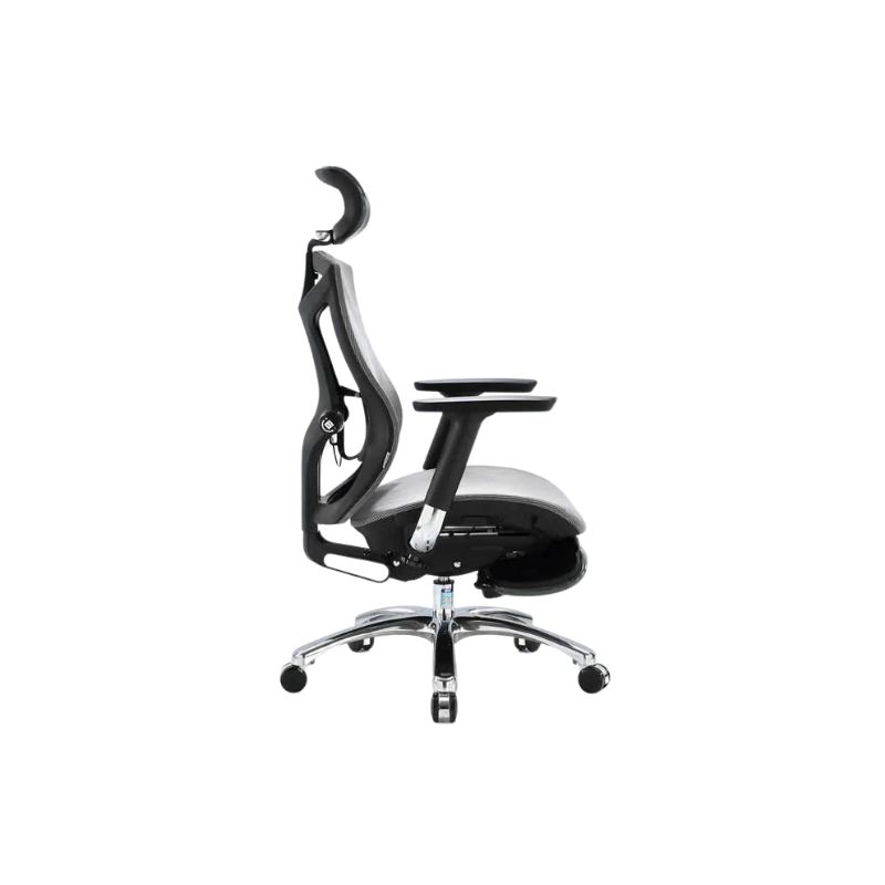 เก้าอี้สุขภาพ Sihoo Ace Ergonomic Chair Ultimate Gray V1-N104