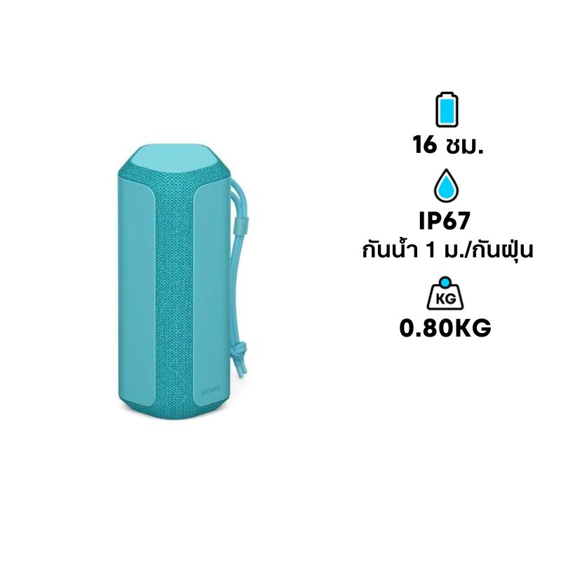 1137233000003