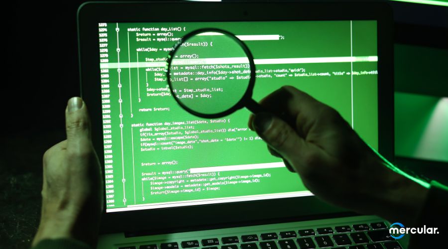 hand holding magnifier on laptop screen coding