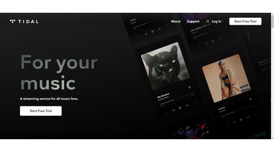 รายละเอียดทั่วไปของแอป Tidal