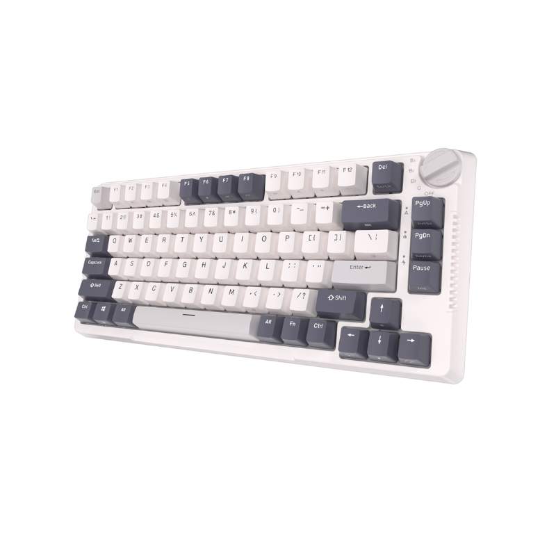 คีย์บอร์ด Royal Kludge RK H81 Wireless Mechanical Gaming Keyboard Blue Switch EN + White Night