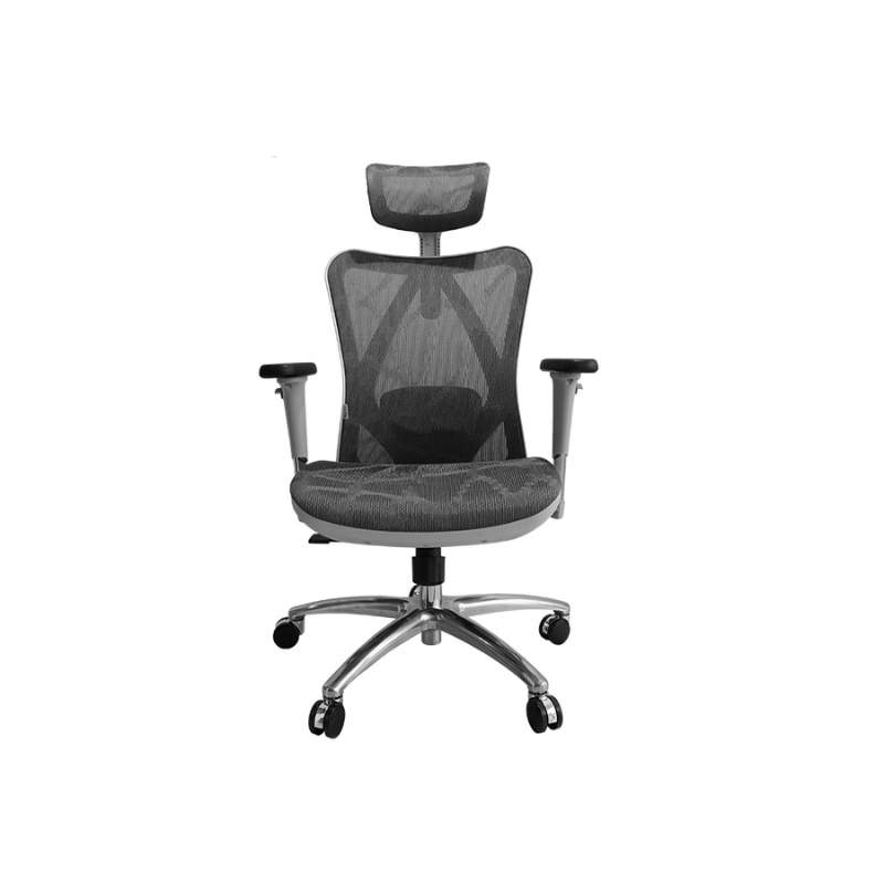 เก้าอี้สุขภาพ Bewell ENLIFT Ergonomic Chair