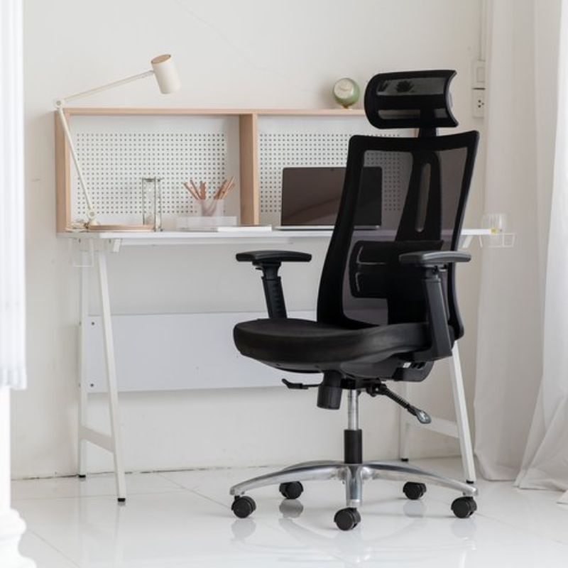 เก้าอี้สุขภาพ Furradec Haya Ergonomic Chair