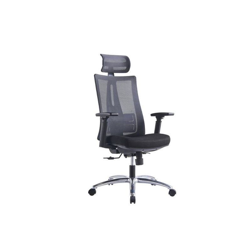 เก้าอี้สุขภาพ Furradec Haya Ergonomic Chair