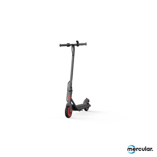 สกู๊ตเตอร์ไฟฟ้า Ninebot KickScooter C20 Electric Scooter product white background