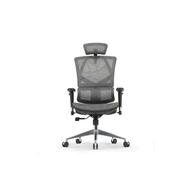 เก้าอี้สุขภาพ Sihoo Warm Ergonomic Chair