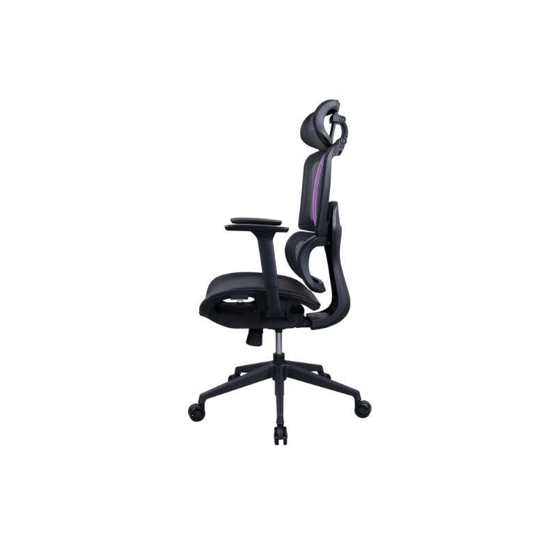 เก้าอี้สุขภาพ Nubwo NXRG01 Regen Series Ergonomic Chair Purple