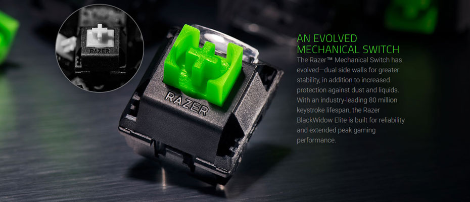bw-elite-02 คีย์บอร์ด Razer Blackwidow Elite Mechanical Keyboard Green SW (TH) ขาย