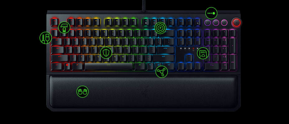 bw-elite-03 คีย์บอร์ด Razer Blackwidow Elite Mechanical Keyboard Green SW (TH) ซื้อ