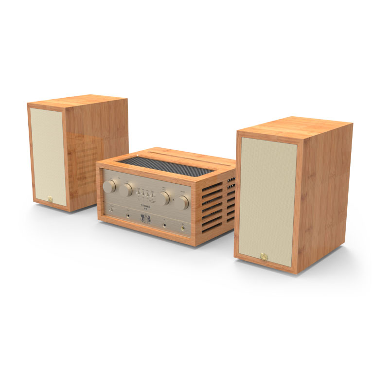 ลำโพง iFi Retro 50 Stereo Speaker ลำโพง iFi Retro 50 Stereo Speaker