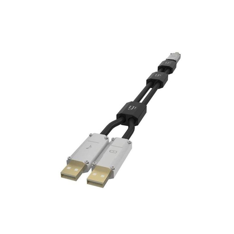 สาย iFi Gemini Dual-Headed Cable 2.0 สาย iFi Gemini Dual-Headed Cable 2.0